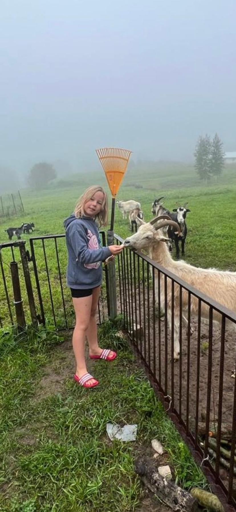 Piekalne Otel Kalniesi Dış mekan fotoğraf