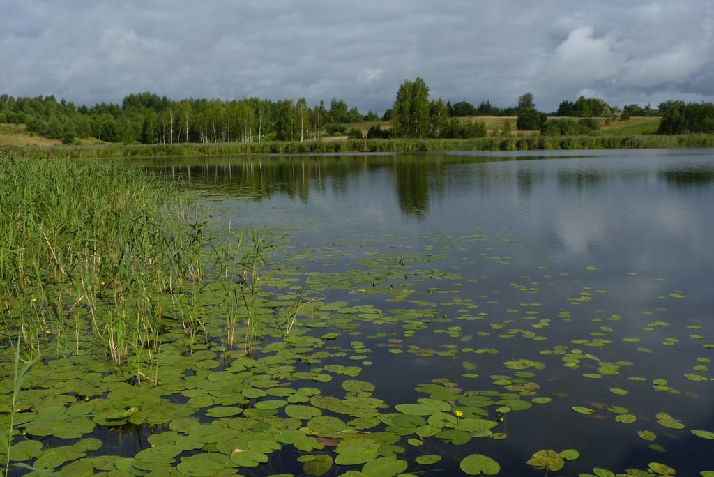 Piekalne Otel Kalniesi Oda fotoğraf